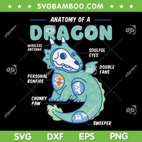 Anatomy Of A Dragon SVG, Funny Dragon SVG, Anatomy Dragon SVG, Cute Dragon SVG DXF EPS PNG