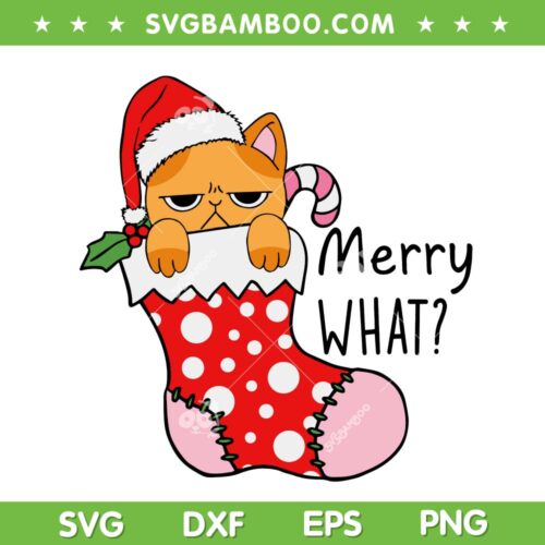 Cute Cat Merrry What SVG, Funny Cat Merry What SVG, Chirstmas Funny Cat SVG DXF EPS PNG
