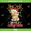 Highland Cow Xmas Light PNG, Cute Cow Santa Hat Christmas PNG, Highland Cow Light PNG
