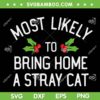 Most Likely To Bring Home A Stray Cat SVG, Christmas Bring Home A Stray Cat SVG, Stray Cat Christmas Saying SVG DXF EPS PNG