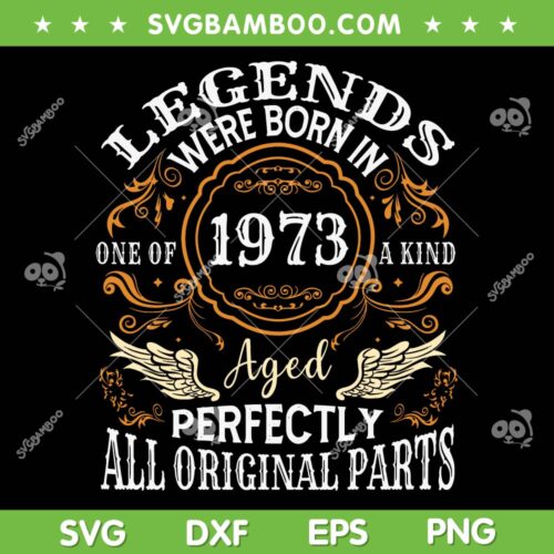 Vintage 1973 Birthday SVG PNG, Classic Turning 50 Years SVG, 39th Birthday DXF EPS SVG PNG
