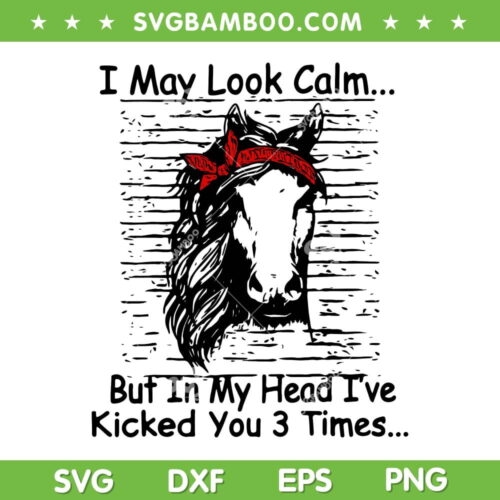I May Look Calm But In My Head I've Kicked You 3 Times SVG PNG, Ive Killed You Three Times SVG, Funny Quote DXF EPS SVG PNG