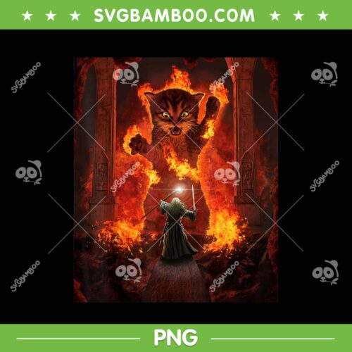 Balrog Cat PNG, Cats Kittens Kitty You Shall Not Pass Fire Flames Gandalf PNG, Funny Cat PNG