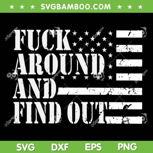 Fuck Around And Find Out American Flag SVG PNG, Fuck Around USA Flag SVG, Punisher Skull DXF SVG PNG EPS