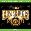 Iowa Hawkeyes Big Ten Champs PNG, Womens Basketball Champ 2023 PNG, Big Ten Champions PNG