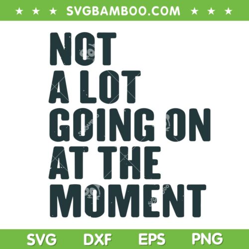 Not A Lot Going On At The Moment SVG PNG, Taylor Swift SVG, Quote Saying DXF SVG PNG EPS