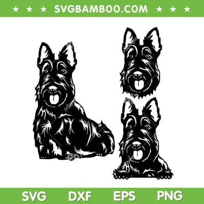 Scottish Terrier Dog SVG PNG, Scottie Dog SVG, Scottie Love DXF SVG PNG EPS Scottish Terrier Dog SVG PNG, Scottie Dog SVG, Scottie Love DXF SVG PNG EPS