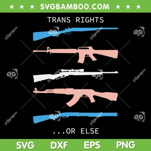 Trans Rights Or Else SVG PNG, Gun Trans Rights SVG, Florida Gay Say DXF SVG PNG EPS
