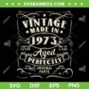 Vintage 50th Birthday SVG PNG, Funny 1973 Birthday SVG, Vintage Made In 1973 DXF SVG PNG EPS