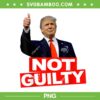 Trump Not Guilty PNG, Free Donald Trump PNG, Trump Campaign PNG