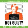 Trump Mug Shot SVG PNG, Trump Not Guilty SVG, I Stand With Donald Trump DXF SVG PNG EPS