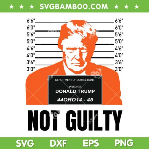 Trump Mug Shot SVG PNG, Trump Not Guilty SVG, I Stand With Donald Trump DXF SVG PNG EPS
