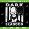Biden Dark Brandon American Flag SVG, Saving American SVG PNG, Anti Biden DXF SVG PNG EPS