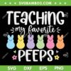 Teaching My Favorite Peeps SVG PNG, Easter Teacher 2023 SVG, Cute Bunny Peeps DXF SVG PNG EPS