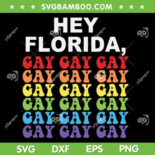 Hey Florida Say SVG PNG, Gay Pride Florida SVG, Retro Hey Florida Gay DXF SVG PNG EPS