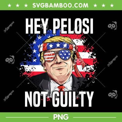 Hey Pelosi Not Guilty Trump PNG, Donald Trump Flag PNG, American Patrio USA PNG Hey Pelosi Not Guilty Trump PNG, Donald Trump Flag PNG, American Patrio USA PNG
