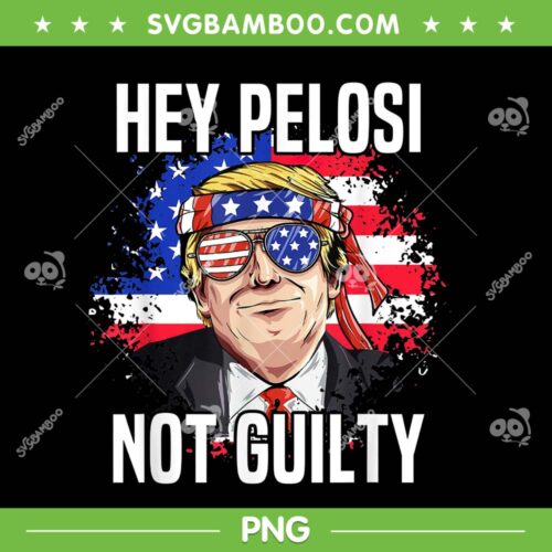 Hey Pelosi Not Guilty Trump PNG, Donald Trump Flag PNG, American Patrio USA PNG