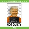 Trump Not Guilty PNG, Trump Mugshot PNG, Donal Trump Prisoner PNG Trump Not Guilty PNG, Trump Mugshot PNG, Donal Trump Prisoner PNG