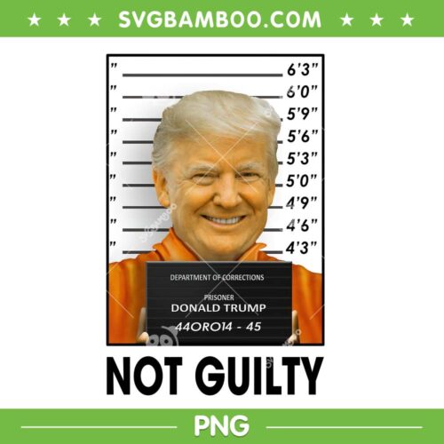Trump Not Guilty PNG, Trump Mugshot PNG, Donal Trump Prisoner PNG