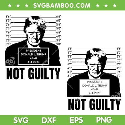 Trump Mug Shot SVG Bundle, Trump Not Guilty SVG Bundle, Trump Campaign DXF SVG PNG EPS