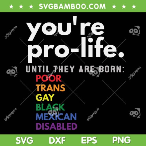 You're Prolife Until They Are Born Poor Trans Gay SVG PNG, Gay Pride SVG, LGBT Flag DXF SVG PNG EPS