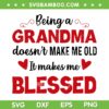 Being A Grandma Doesn't Make Me Old SVG PNG, It Makes Me Blessed SVG, Grandmother DXF SVG PNG EPS
