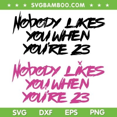Blink 182 Lyric From What's My Age Again SVG, Nobody Likes You When You're 23 Song SVG, Blink 182 Band DXF SVG PNG EPS