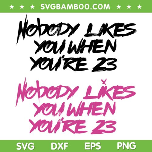 Blink 182 Lyric From What's My Age Again SVG, Nobody Likes You When You're 23 Song SVG, Blink 182 Band DXF SVG PNG EPS