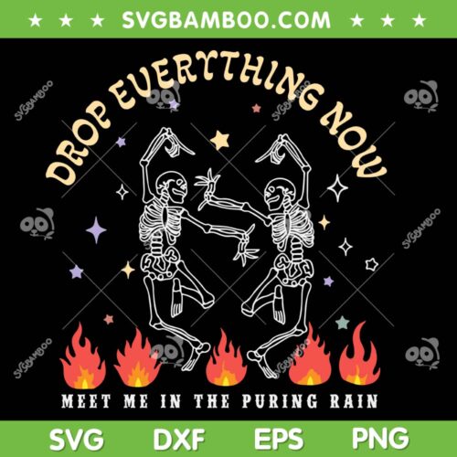 Drop Everything Now Vintage Skeleton SVG, The Eras Tour Albums SVG, Funny Skeleton DXF SVG PNG EPS