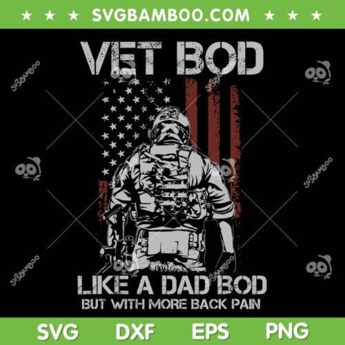 Retro Vet Bod Like Dad Bod SVG PNG, But With More Back Pain SVG, Retro Vintage American Flag DXF SVG PNG EPS
