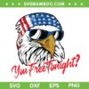You Free Tonight Bald Eagle SVG PNG, Eagle American Flag SVG, Bruh American Flag DXF SVG PNG EPS You Free Tonight Bald Eagle SVG PNG, Eagle American Flag SVG, Bruh American Flag DXF SVG PNG EPS