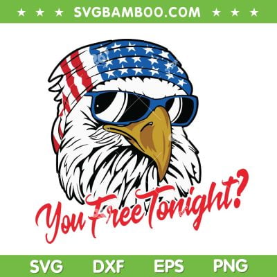 You Free Tonight Bald Eagle SVG PNG, Eagle American Flag SVG, Bruh American Flag DXF SVG PNG EPS