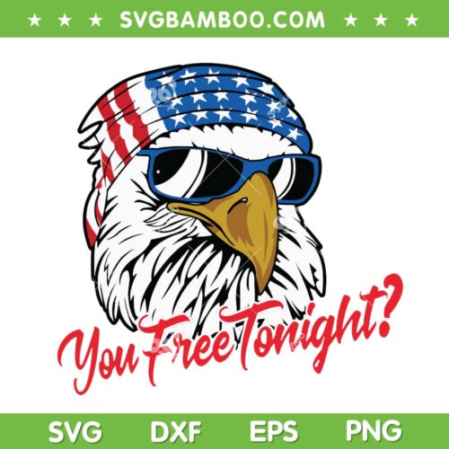 You Free Tonight Bald Eagle SVG PNG, Eagle American Flag SVG, Bruh American Flag DXF SVG PNG EPS