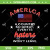 America A Country So Great Even It's Haters Wont Leave SVG, 4th Of July Free SVG, Funny July 4th DXF SVG PNG EPS