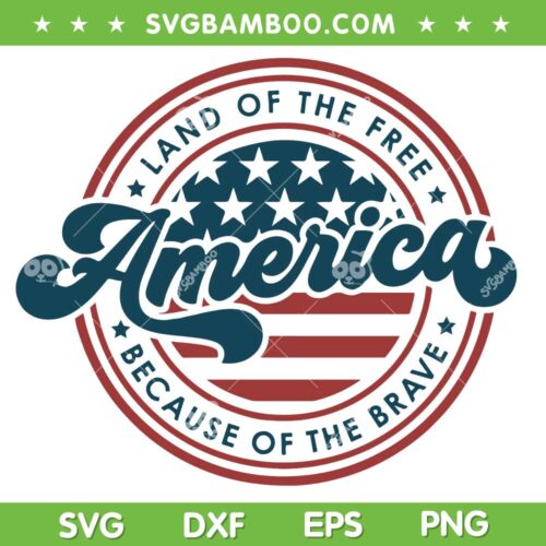 American Land Of The Free SVG PNG, Memorial Day American Flag SVG, Because Of The Brave DXF SVG PNG EPS