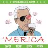 Biden Ice Cream Merica SVG PNG, Joe Biden Ice Cream Fireworks SVG, 4th Of July DXF SVG PNG EPS