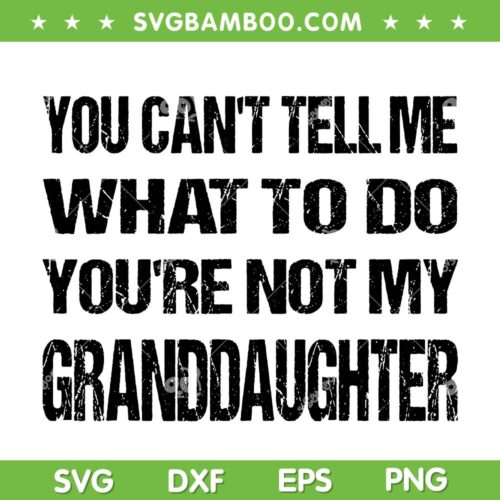 Fathers Day You Can't Tell Me What To Do SVG, Funny Grandfather SVG, Youre Not My Granddaughter DXF SVG PNG EPS