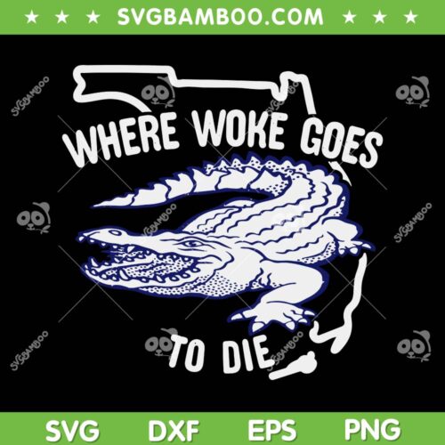 Florida Is Where Woke Goes To Die SVG PNG, DeSantis Florida SVG, Funny Dinosaur DXF SVG PNG EPS