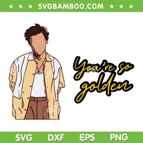 Harry Styles You're So Golden SVG PNG, Harry Styles Love On Tour 2023 SVG, Harry Styles Song DXF SVG PNG EPS