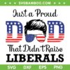 Just A Proud Dad American Flag SVG PNG, That Didn't Raise Liberals SVG, Fathers Day 2023 DXF SVG PNG EPS