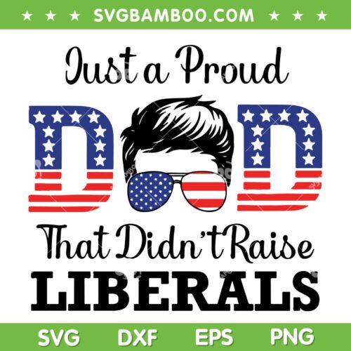Just A Proud Dad American Flag SVG PNG, That Didn't Raise Liberals SVG, Fathers Day 2023 DXF SVG PNG EPS