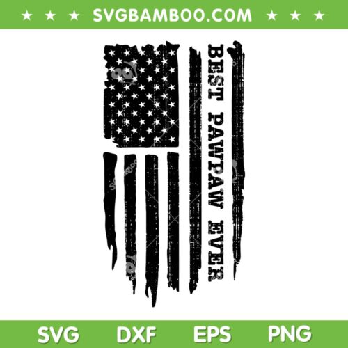Mens Best Pawpaw Ever SVG PNG, American Flag Best Pawpaw SVG, Funny Fathers Day DXF SVG PNG EPS