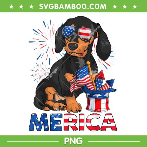 Patriotic Dachshund American Flag PNG, Doxie Lover 4th Of July PNG, Merican Dog PNG