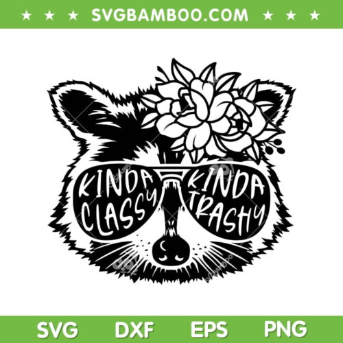 Racoon Sunglasses Name SVG PNG, Racoon Floral SVG, Kinda Classy Kinda Trashy DXF SVG PNG EPS
