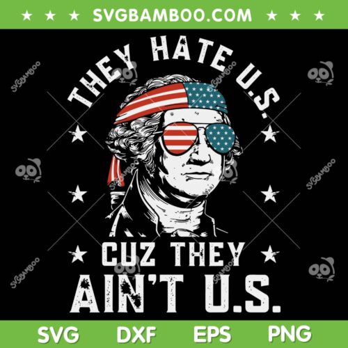 They Hate Us Cuz They Aint Us SVG PNG, Funny 4th of July SVG, Patriots July 4th DXF SVG PNG EPS