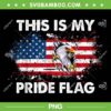This Is My Pride Flag American Flag PNG, USA 4th of July Patriotic PNG, Vintage USA American 4th Of July PNG This Is My Pride Flag American Flag PNG, USA 4th of July Patriotic PNG, Vintage USA American 4th Of July PNG