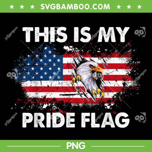 This Is My Pride Flag American Flag PNG, USA 4th of July Patriotic PNG, Vintage USA American 4th Of July PNG
