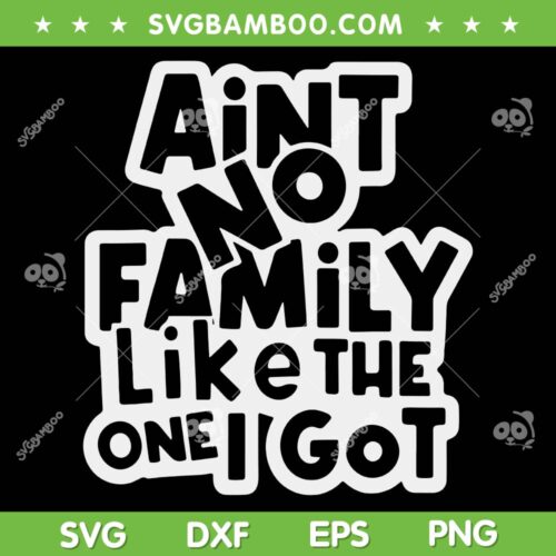 Aint No Family Like The One I Got SVG PNG, Funny Family Reunion 2023 SVG, Family 2023 DXF SVG PNG EPS
