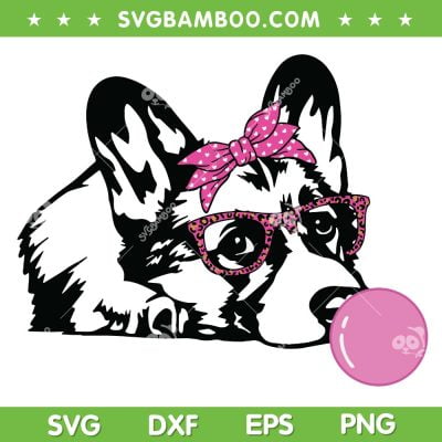Corgi Dog With Bubble Gum SVG PNG, Bandana Glasses Dog SVG, Cute Dog Bubble Gum DXF SVG PNG EPS