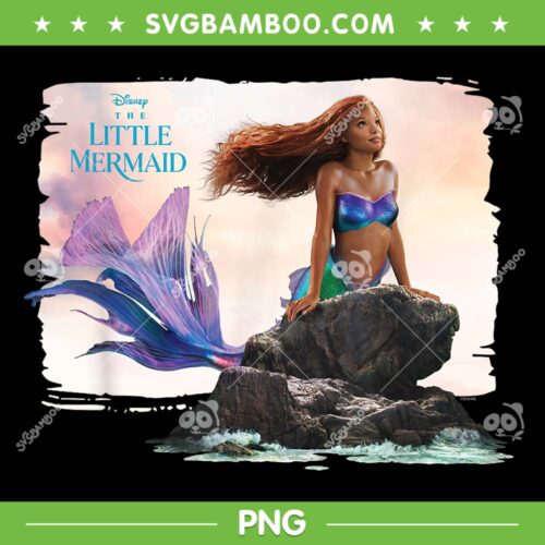 Disney The Little Mermaid Ariel Black PNG, Black Ariel Little Mermaid PNG, Mermaid African American PNG
